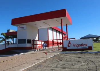 Frigotins tem capacidade para abater até 260 bovinos por dia