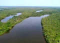 Estado institui Programa de Conversão de Multas Ambientais em bens e serviços para recuperação e conservação ambiental