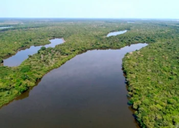 Estado institui Programa de Conversão de Multas Ambientais em bens e serviços para recuperação e conservação ambiental