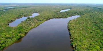 Estado institui Programa de Conversão de Multas Ambientais em bens e serviços para recuperação e conservação ambiental