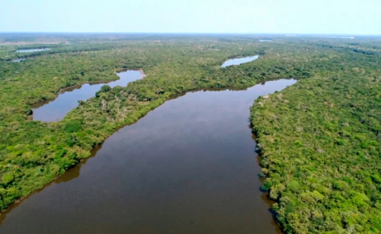 Estado institui Programa de Conversão de Multas Ambientais em bens e serviços para recuperação e conservação ambiental