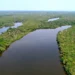 Estado institui Programa de Conversão de Multas Ambientais em bens e serviços para recuperação e conservação ambiental