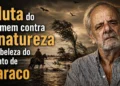 LEITURA DOMINGUEIRA | A luta do homem contra a natureza na beleza do conto de Faraco