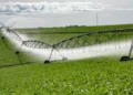 Aproest, governo federal, UFT lançam o Plano de Desenvolvimento Sustentável do Polo de Agricultura Irrigada do Sudoeste do Tocantins
