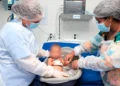 Araguaína inaugura o primeiro Ambulatório Neonatal Especializado do Tocantins para recém-nascidos de alto risco; veja as formas de encaminhamento