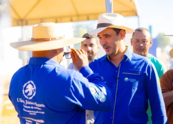 Vicentinho Júnior, deputado federal e pré-candidato ao governo